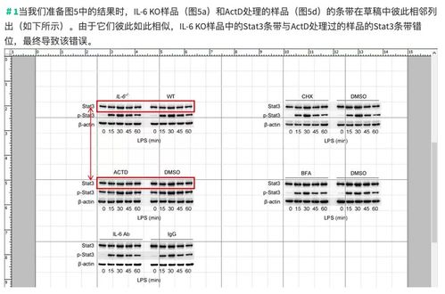 论文查重新技巧：如何检测表格内容的相似度