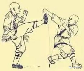 图解少林武术绝技 5招罗汉神腿,每一招都是传统武术的精华 
