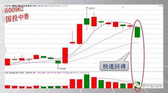 600477的主力资金显示流入，但是股票为什么却跌