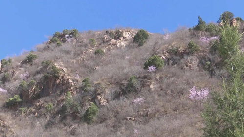 踏青赏景,保定野三坡 绿溪谷乐园 易县荆轲公园 邯郸太行药王谷张开怀抱等你