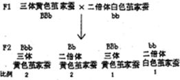 人类性别取决于XY性染色体的组合.而有些昆虫则是以其它形式的性染色体组合来决定性别.以家蚕为例.凡具有ZW染色体的个体会发育为雌性.而有ZZ染色体的个体则会发育为雄性 