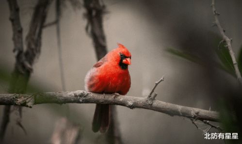 在爱情中,你是会主动逼婚的三大星座女吗