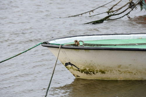 暴雨后池塘水浑钓鱼怎么样 