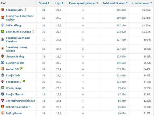 武汉足球队员身价排名表