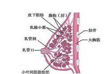 妇科病就局限于女人 男人也会患上妇科病,这1种与夫妻生活有关