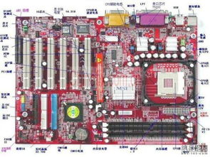 电脑主板都可以装独立声卡吗   (服务器主板能装独立声卡吗)