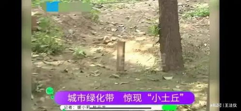 小区绿化带埋了20多坟墓,当地村民高调办葬礼,新业主苦不堪言