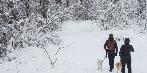 冬天最佳遛狗时间是什么时候 需要注意什么