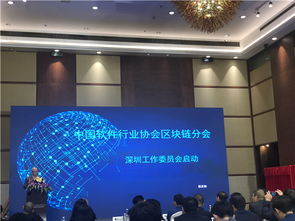 区块链协会加强引导,中国软件行业协会区块链分会