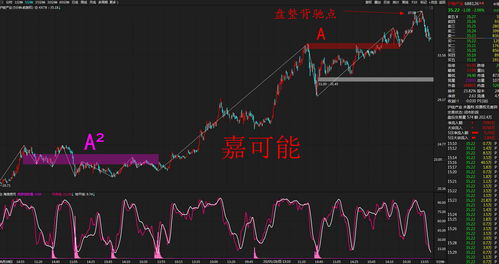 亚麻产业这股票怎么样 现在进是不是太高了