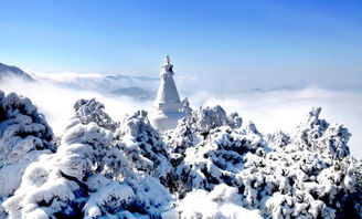 12月庐山下雪了吗 庐山冬季旅游景色最美的攻略
