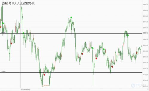 2022年黄金会涨还是会跌，跌涨幅度能有多大？现在是320一克。