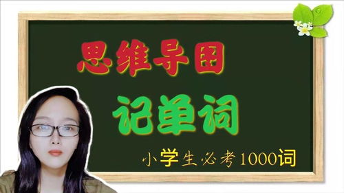 北大学霸小学时使用的背单词方法,高效不易忘,3天背1000词 