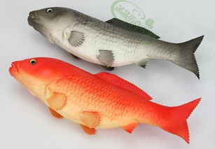 红色鲫鱼和红色鲤鱼的差别