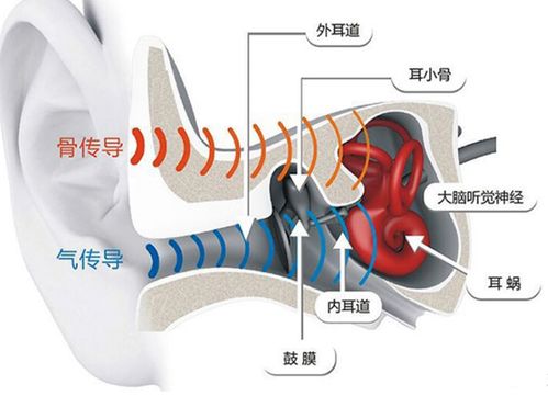 骨传导耳机究竟是不是智商税 一篇文章告诉你答案