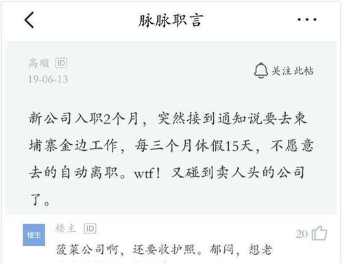 入职一个月了，公司突然要求档案必须调到公司，必须。可是我真一时半会找不到档案