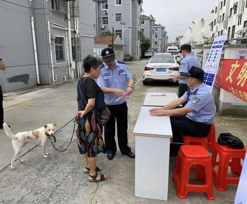 青浦区开展规范养犬行为专项整治行动