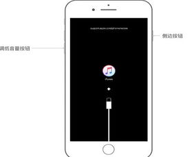 苹果手机显示已停用iphone是啥意思 