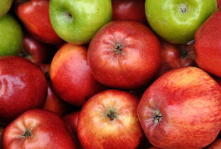 和苹果长得很像的水果叫什么,有种比苹果大,外表青色,味道和树的味道差不多,这种水果叫什么？