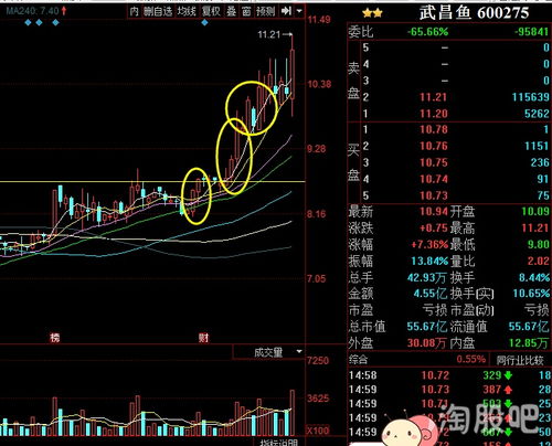 想没SZ股票和SH股票需要开两个账户吗?