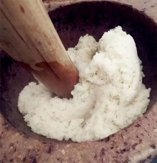 同样是传统主食,为什么稻米可以直接吃,小麦却要磨成粉才能吃