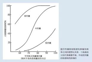 营养 代谢与癌症的关系 