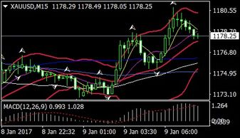 美国iShares Silver Trust(SLV)白银基金公司是何时成立的？