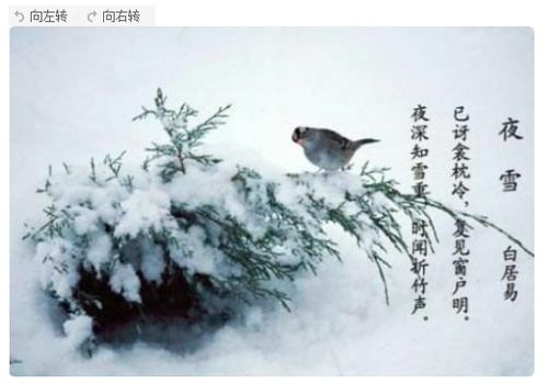 关于赞美雪的诗句 小学学过的与雪有关的诗句古诗