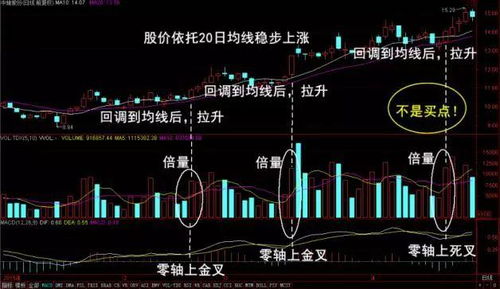 股票价格随时变化，要买进的话是以哪个时段的价格计算?