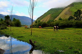 除了九寨沟 川西还有很多不被人熟知的美景