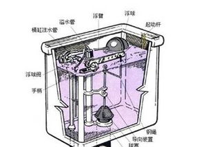 哪位大神知道马桶虹吸哪种