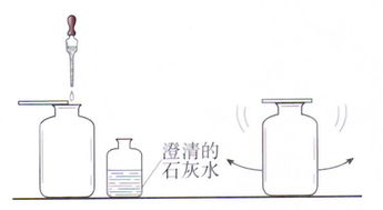 图1 17 用澄清的石灰水检验 