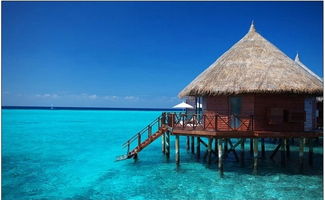 马尔代夫选岛哪个更适合安嘎嘎度假