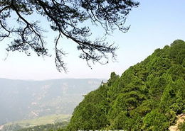 天龙山景区景点介绍 