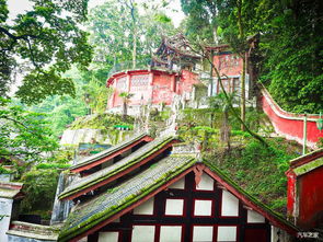 逃离城市喧嚣,问道青城山,拜水都江堰,隐居山林美宿,渡过两日悠悠慢时光