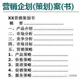 关于怎样提高证券公司知名度，客户回访的营销策划书