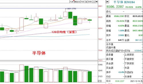 半导体基金还能持有吗