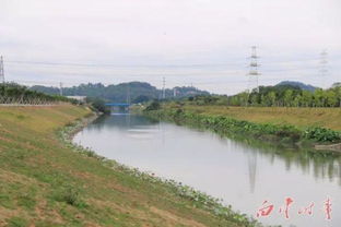 今年开工 白云中央湿地将打造成广州生态新地标 