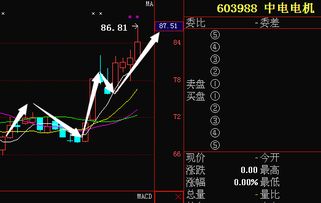 603988 中电电机 为什么涨