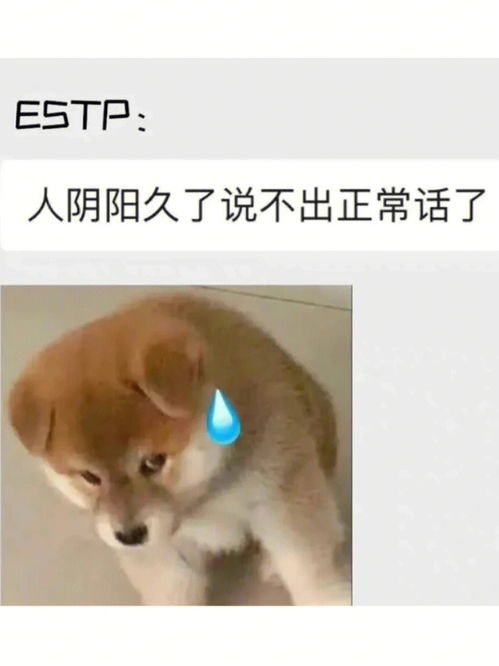 ESTP性格为什么好少 