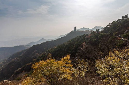 山东日照大青山风景区