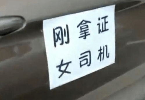 在车里撞了我八次高黄高黄肉