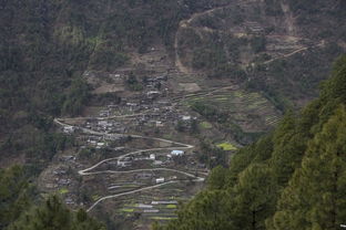 登山看风景二