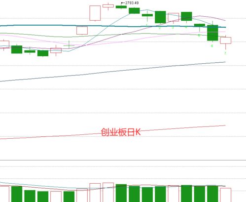 为什么很多创业板新股不愿在网下配售，而情愿在网上摇号呢？