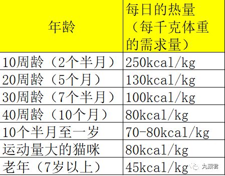 新进猫咪的照顾之粮食篇 二