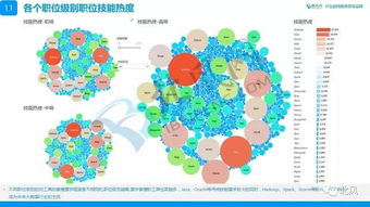 大数据竞赛需要哪些专业知识