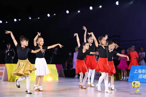 国际标准舞教学(国际标准舞分几类)