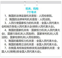 中考思品必考知识点100 全汇总 期末考前轻松复习 