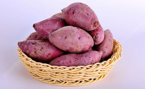 紫薯和红薯的区别