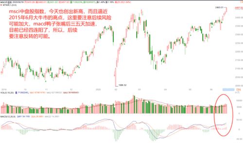 算中盘股还是大盘股